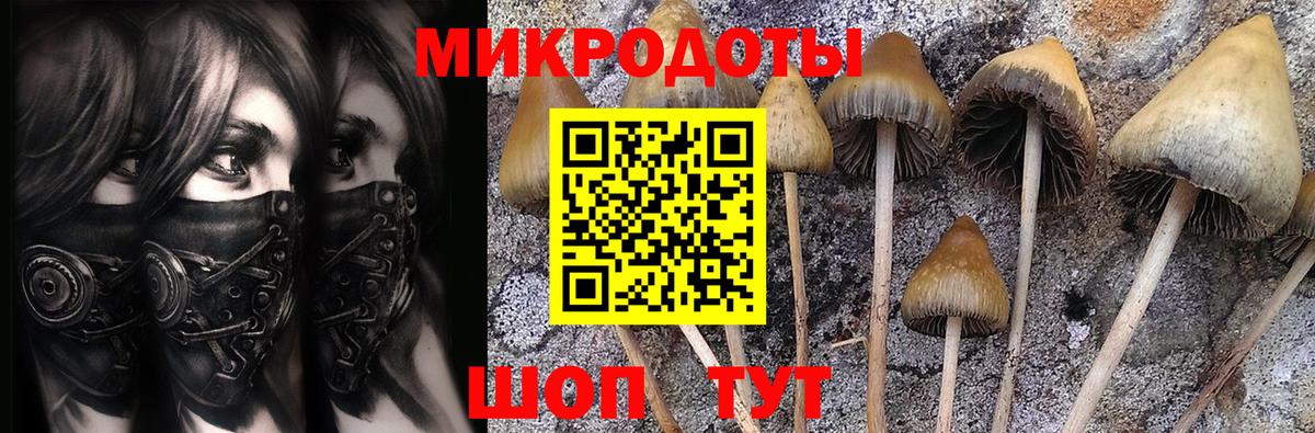 хочу   Вход с VPN  Черняховск  Галлюциногенные грибы мухоморы  Псилоцибиновые грибы Psilocybine cubensis 