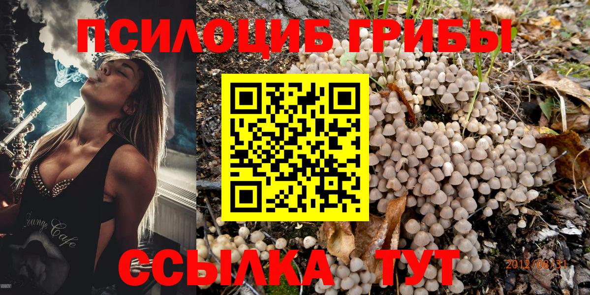 Псилоцибиновые грибы ЛСД Черняховск
