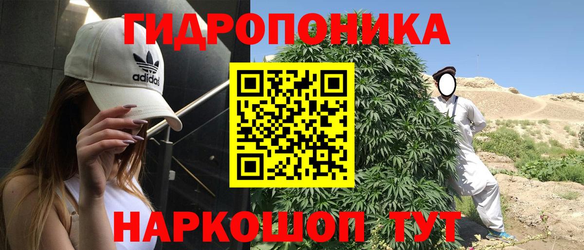 Марихуана планчик  Вход с VPN  Черняховск  Бошки Шишки индика  Шишки марихуана сатива 